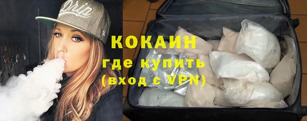 прущие грибы Армянск