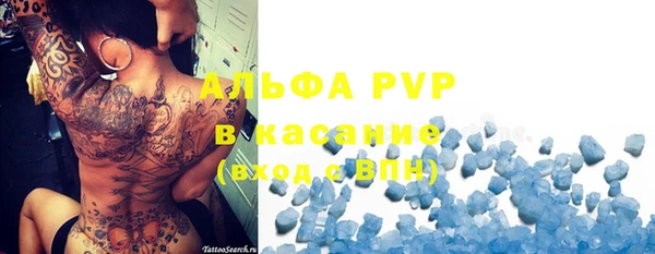 прущие грибы Армянск