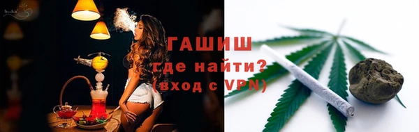 прущие грибы Армянск