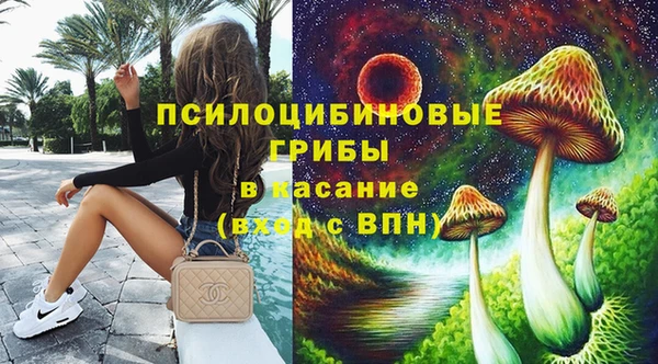 прущие грибы Армянск