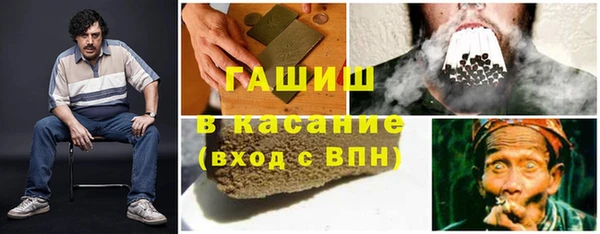 прущие грибы Армянск