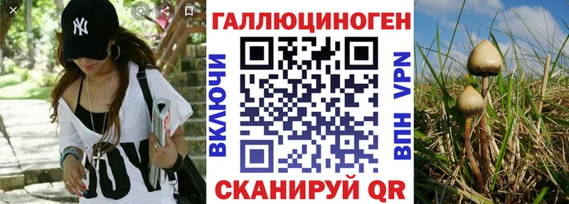 ОМГ ОМГ ТОР  Первомайск  Галлюциногенные грибы GOLDEN TEACHER  где можно купить наркотик 